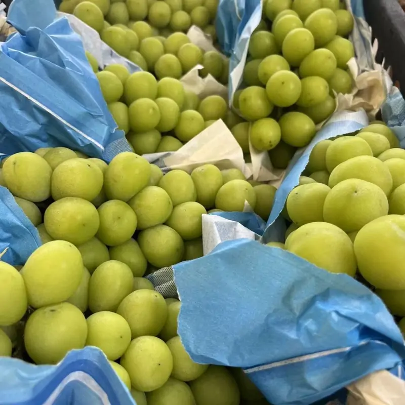 Shine Muscat (Grape) - Image 2