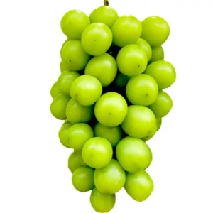 Shine Muscat (Grape)