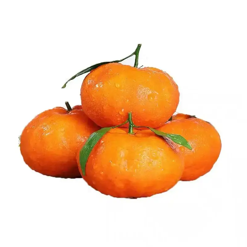 Kanpei(Mandarin Orange) - Image 3