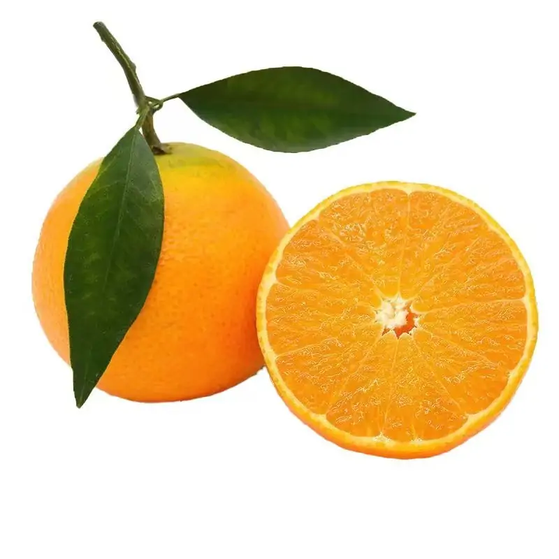 Kiyomi (Mandarin Orange)-Power Link Fruit Co.,Ltd