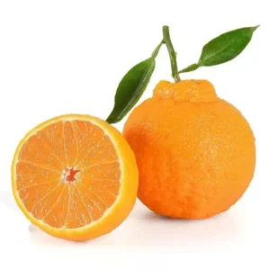 Dekopon(Mandarin Orange)
