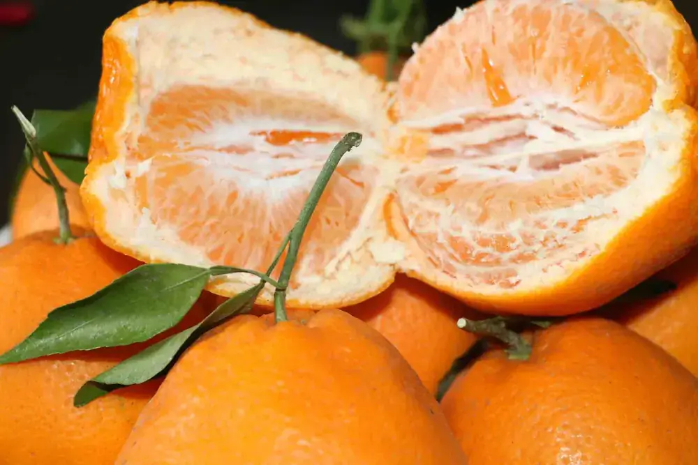 china harumi mikan orange