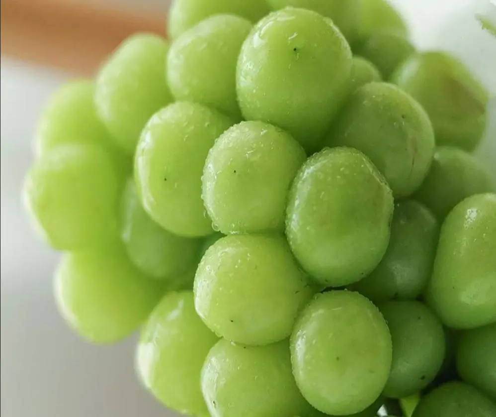 muscat grapes benefits