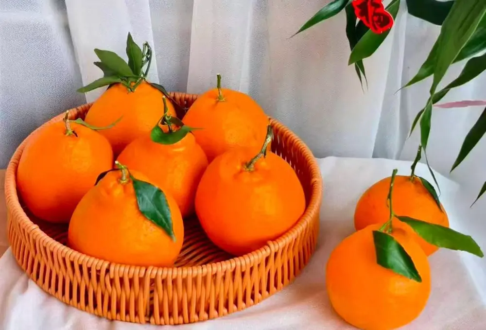 sweet yellow citrus from china