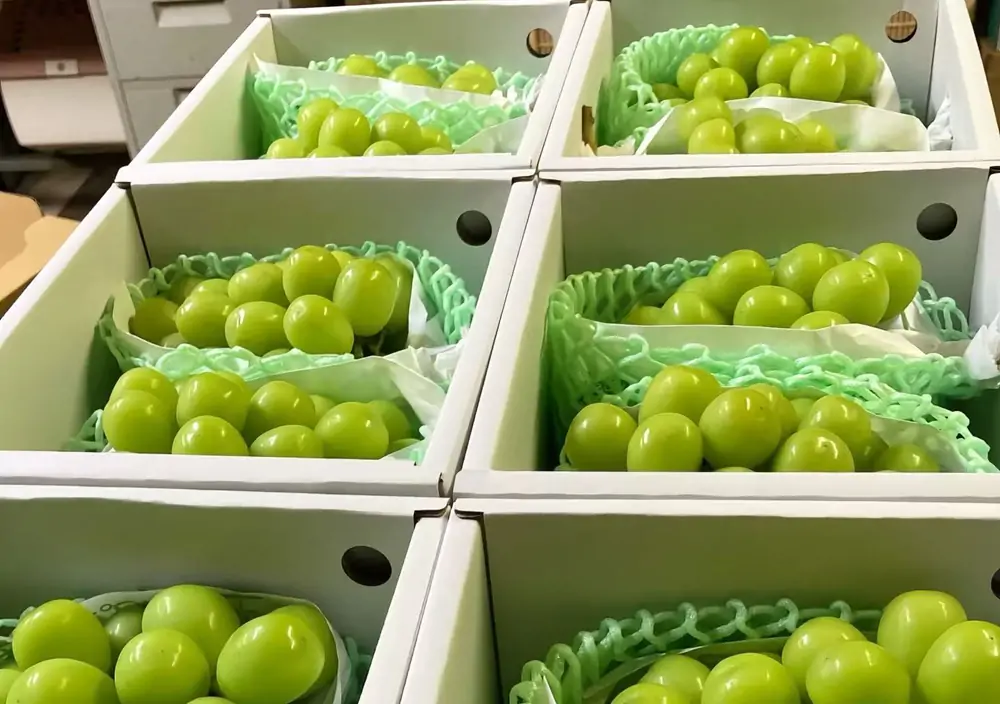 shine muscat grapes premium gift box packaging