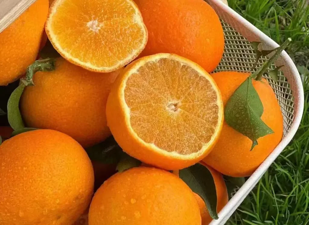 Fresh Aiyuan 38 Jelly Orange From China