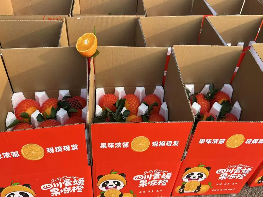 china Sichuan Aiyuan orange exporter