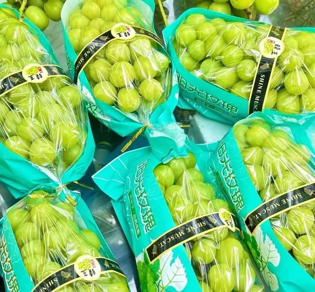 shine muscat grape supplier