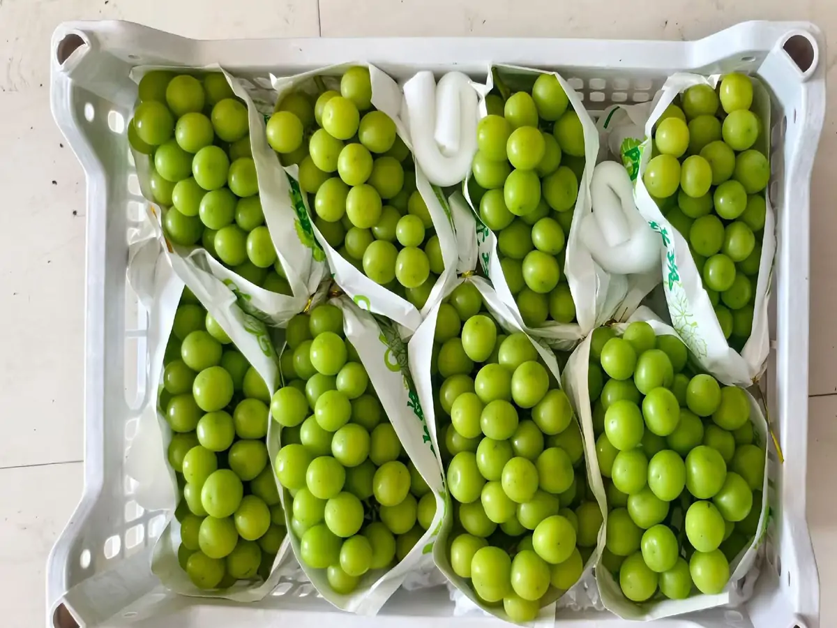 shine muscat grapes export carton packaging detail