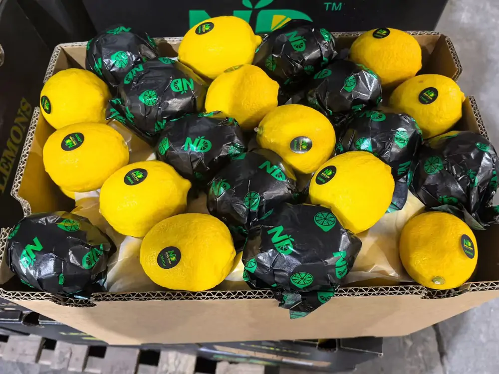 High quality Anyue Lemon from Power Link Fruit Co Ltd