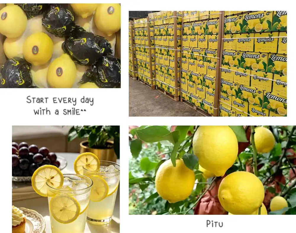 Where to buy export quality Anyue Lemon from China